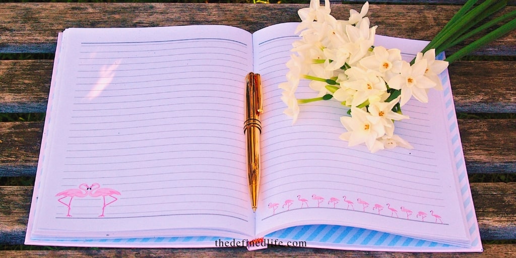 daily manifestation journal